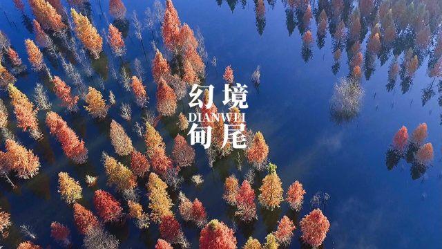 新疆违章查询在线查询- 冷知识分享平台,孤陋寡闻的终结者